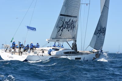 DSC_1588.JPG
