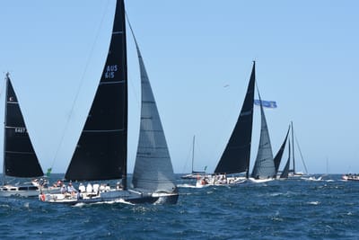 DSC_1621.JPG