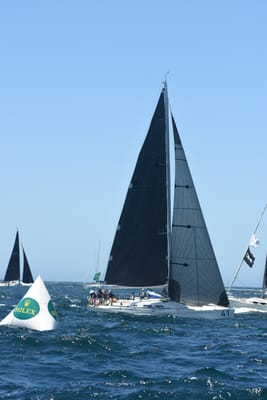 DSC_1623.JPG