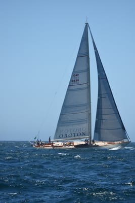 DSC_1627.JPG