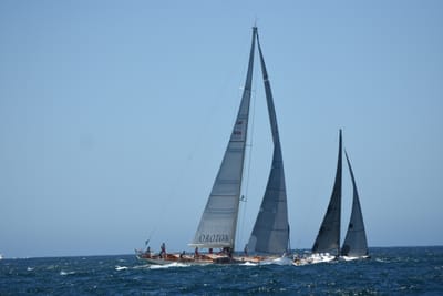 DSC_1629.JPG