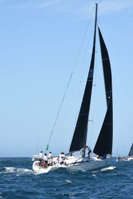 DSC_1637.JPG
