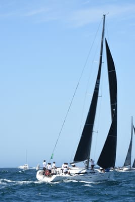 DSC_1638.JPG