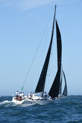 DSC_1639.JPG