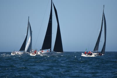 DSC_1647.JPG