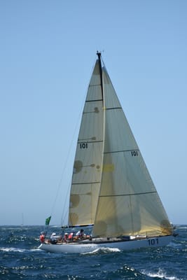 DSC_1653.JPG