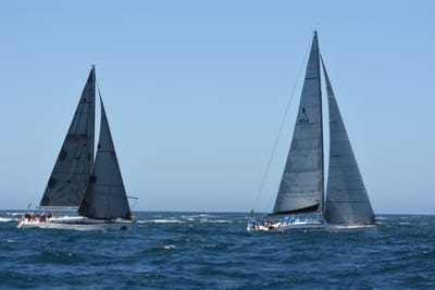 DSC_1657.JPG