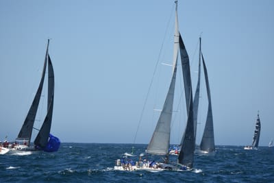 DSC_1662.JPG