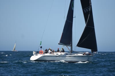 DSC_1664.JPG
