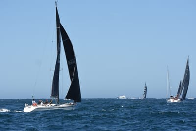 DSC_1666.JPG