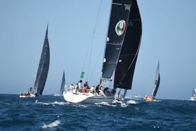 DSC_1667.JPG