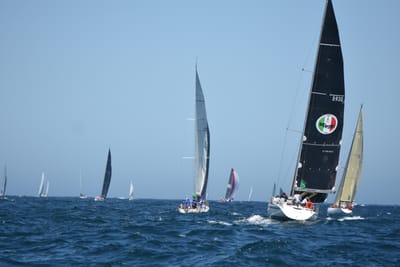 DSC_1669.JPG