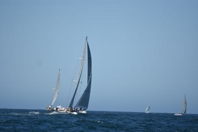 DSC_1671.JPG