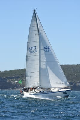 DSC_1685.JPG