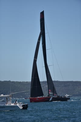 DSC_6725.JPG