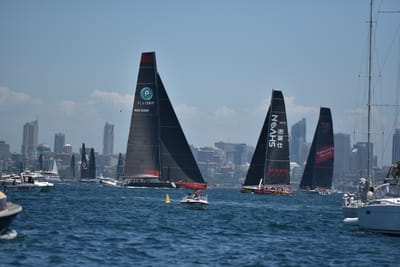 DSC_6726.JPG