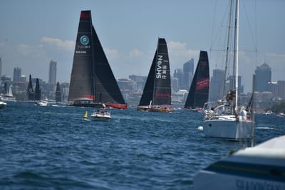 DSC_6727.JPG