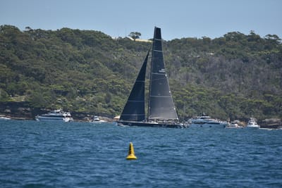 DSC_6728.JPG