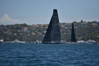DSC_6729.JPG