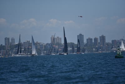 DSC_6732.JPG