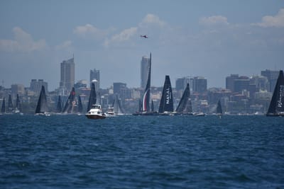DSC_6733.JPG