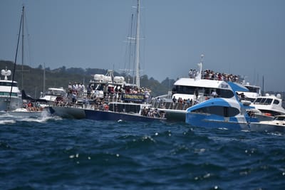 DSC_6737.JPG