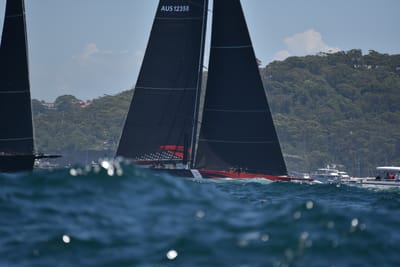 DSC_6738.JPG
