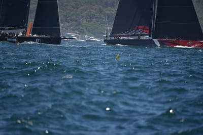 DSC_6739.JPG