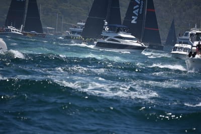 DSC_6742.JPG
