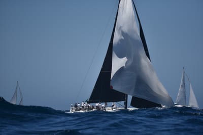 DSC_6761.JPG
