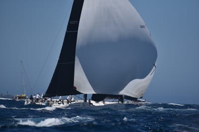 DSC_6763.JPG