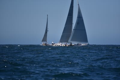 DSC_6786.JPG