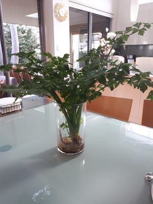20180922_153029.jpg