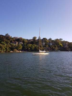 20180328_171232.jpg