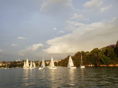 20181121_190726.jpg