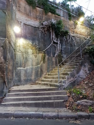 20181130_195825.jpg