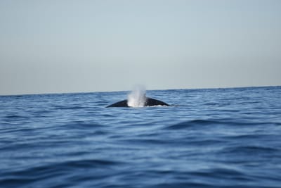 DSC_0939.JPG