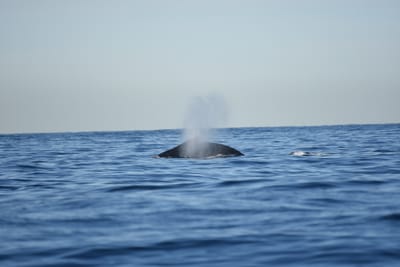 DSC_0940.JPG