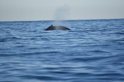 DSC_0941.JPG