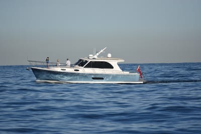 DSC_0953.JPG