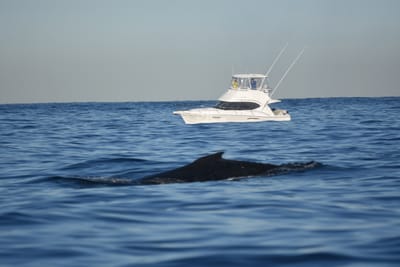 DSC_0956.JPG