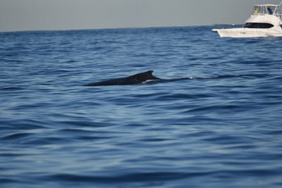 DSC_0958.JPG
