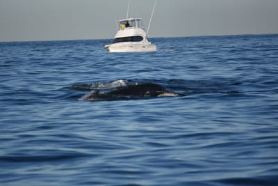 DSC_0959.JPG