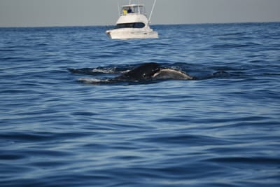 DSC_0960.JPG