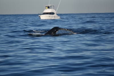 DSC_0961.JPG