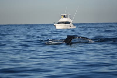 DSC_0962.JPG