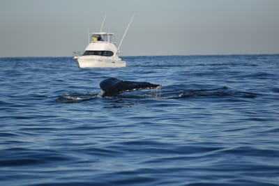 DSC_0963.JPG