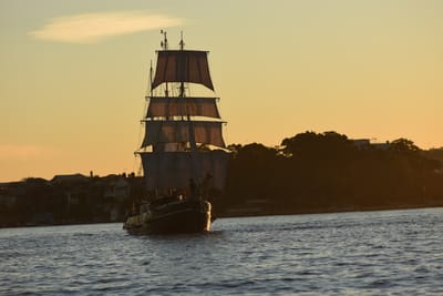 DSC_0977.JPG