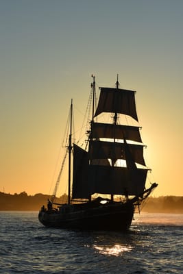 DSC_0982.JPG