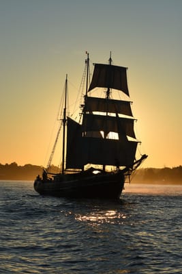 DSC_0983.JPG